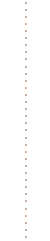 dotted line